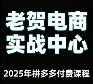 老贺电商2025年拼多多付费课程，用通俗易懂的方法告诉你多多怎么玩-润泽资源库